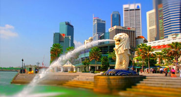 overseascareermakers Image